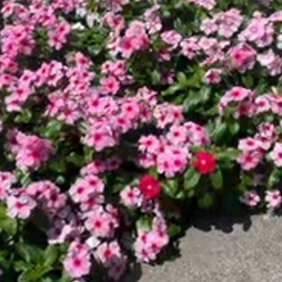 Unlisted Item Category/Size May Not Reflect Actual Item - Picture 3 of 6